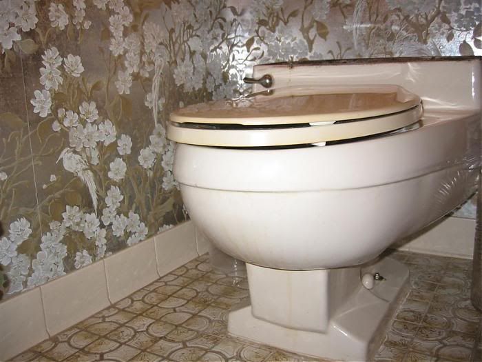 Old Eljer Silette Toilet How to remove the seat? Terry Love Plumbing & Remodel DIY